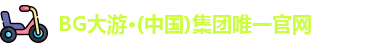 bg大游平台